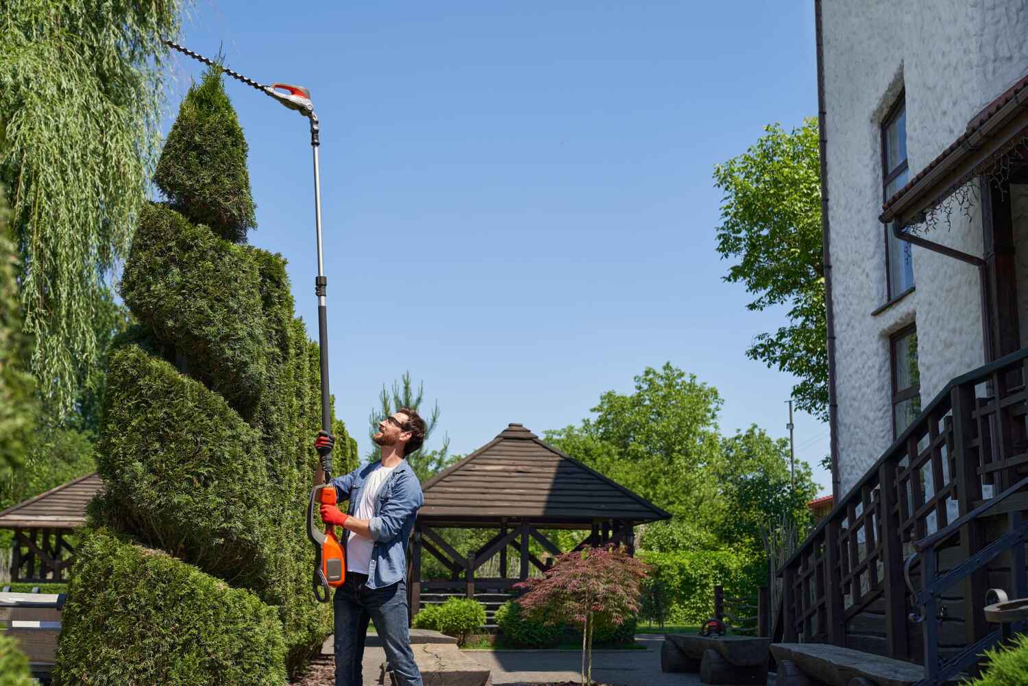 Large Tree Removal in Ham Lake, MN